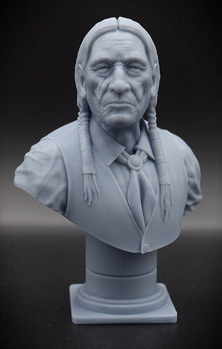 Cheyenne Elder Bust
