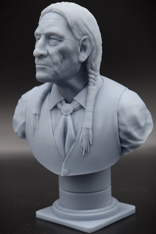 Cheyenne Elder Bust